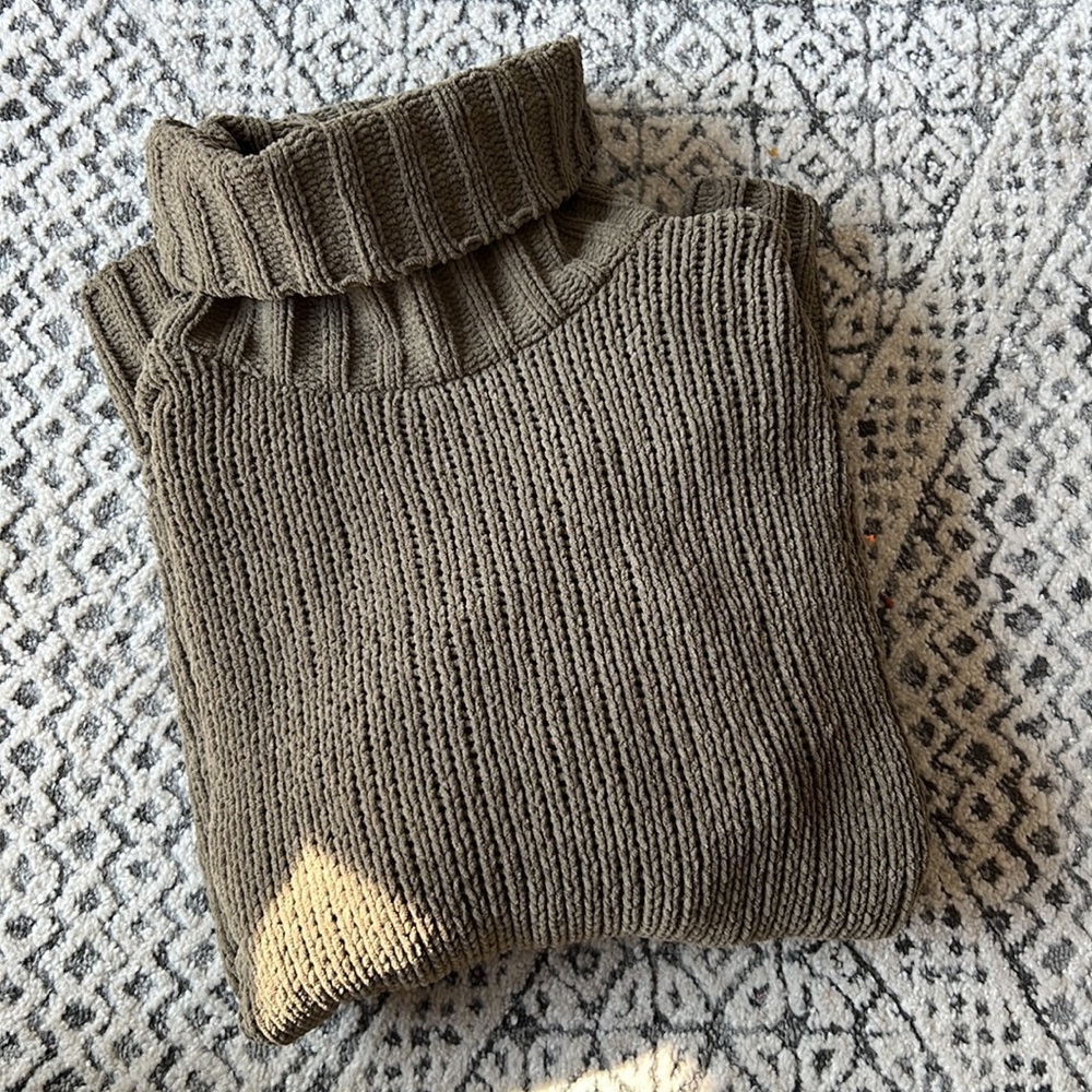 AERIE: Cozy Oversized Turtleneck